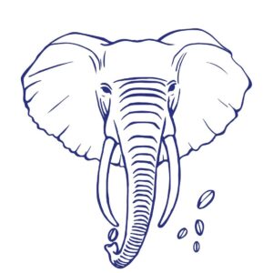 the elephant coffee